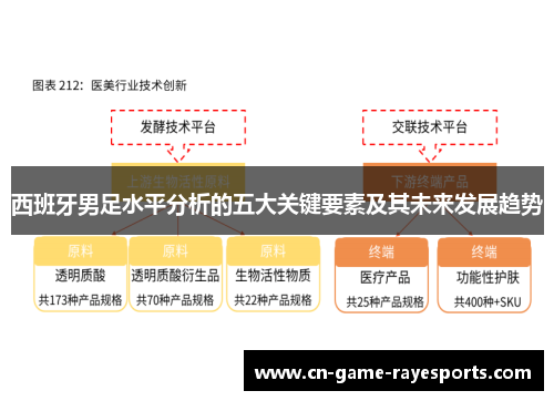 西班牙男足水平分析的五大关键要素及其未来发展趋势