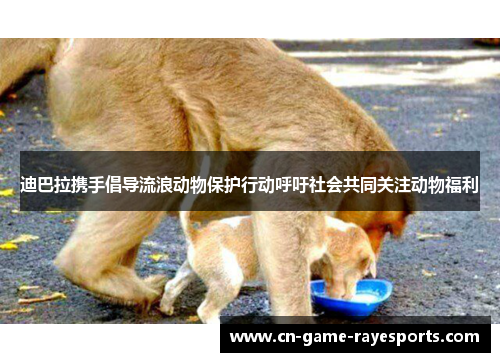 迪巴拉携手倡导流浪动物保护行动呼吁社会共同关注动物福利