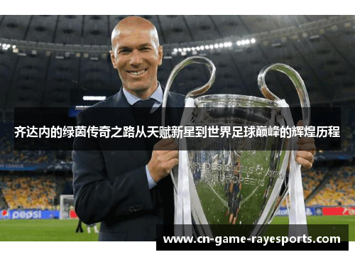 齐达内的绿茵传奇之路从天赋新星到世界足球巅峰的辉煌历程 齐达内的绿茵传奇之路从天赋新星到世界足球巅峰的辉煌历程